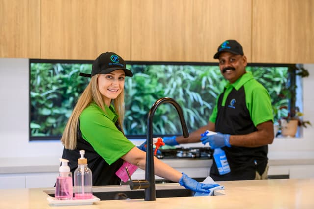 Professional cleaning services