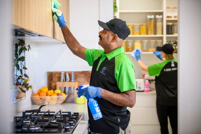 Professional cleaners