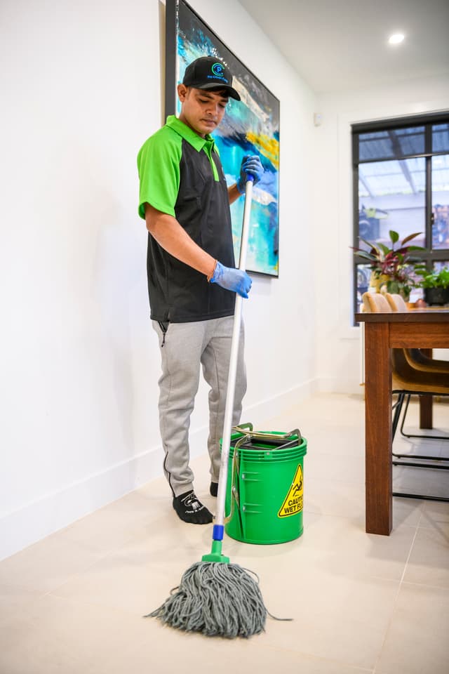 Cleaner